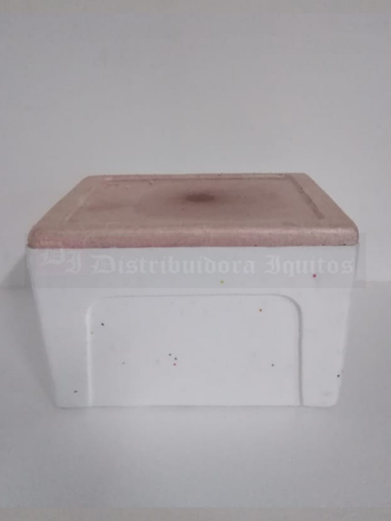 Cajas térmicas de Tecnopor (EPS) FÁBRICA