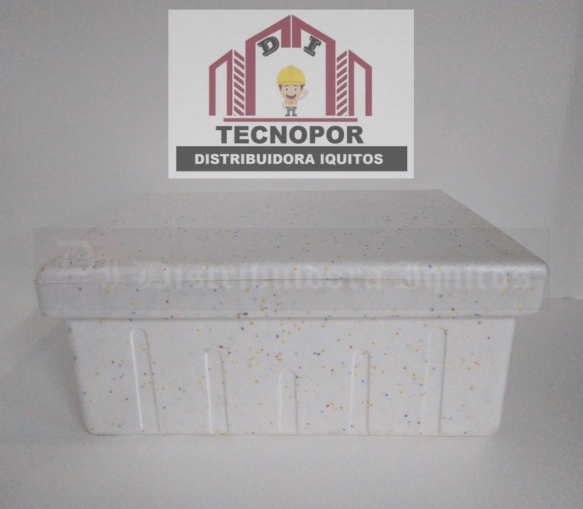 Cajas térmicas de Tecnopor (EPS) FÁBRICA
